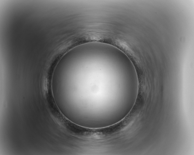 X0000089410683200706221136