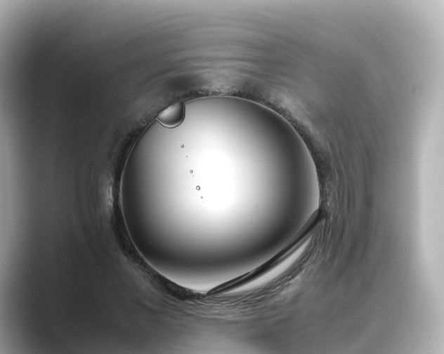 X0000089410685200706221136