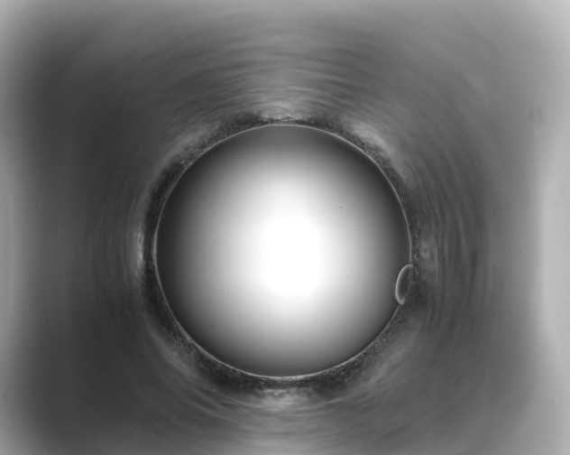 X0000089410686200706221136