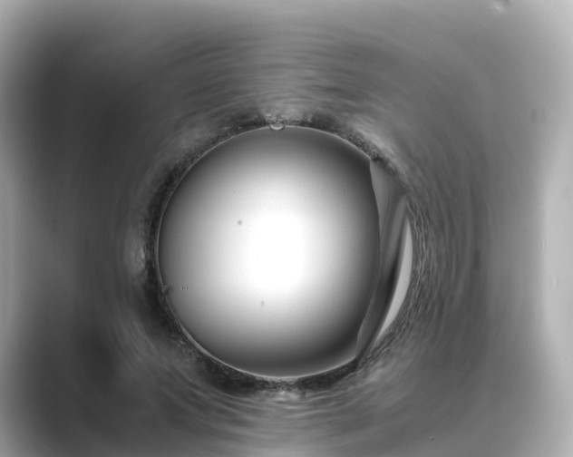 X0000089410687200706221136