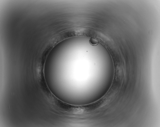 X0000089410698200706221135