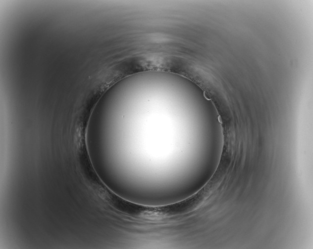 X0000089410699200706221135