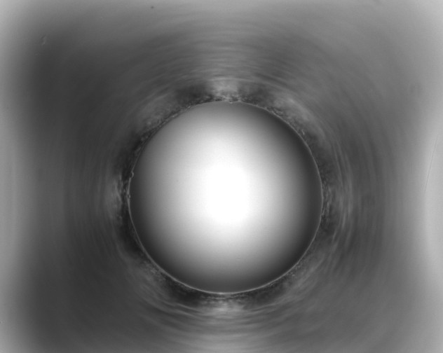 X0000089410702200706221135