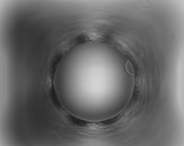 X0000089410703200706221135