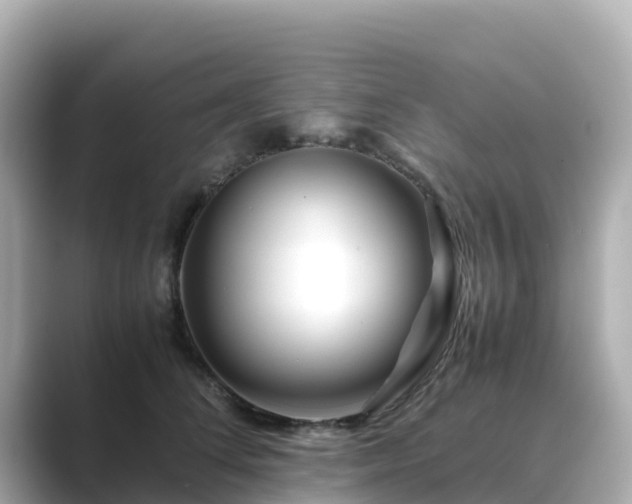 X0000089410708200706221135
