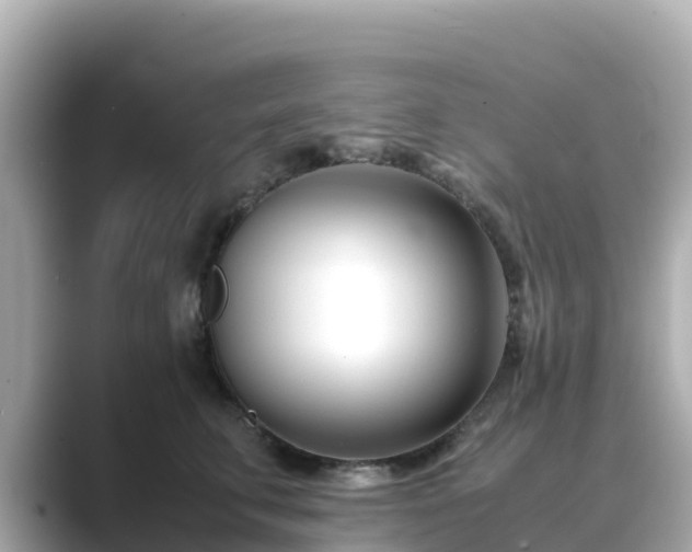 X0000089410711200706221135