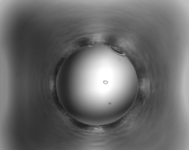 X0000089410715200706221135