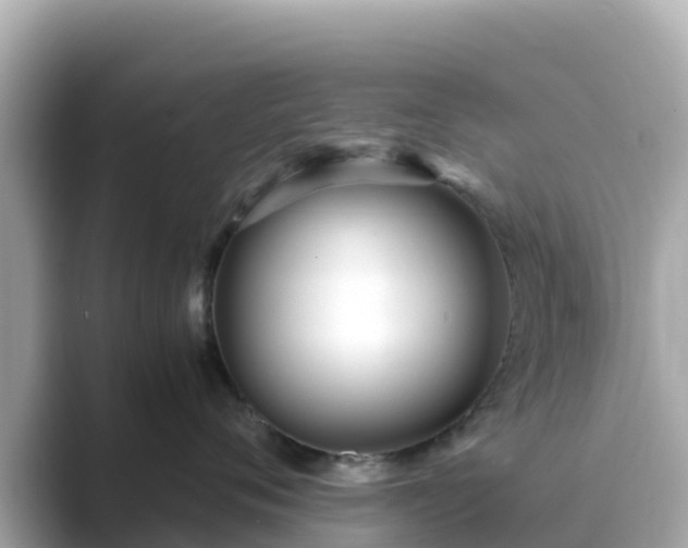 X0000089410720200706221135