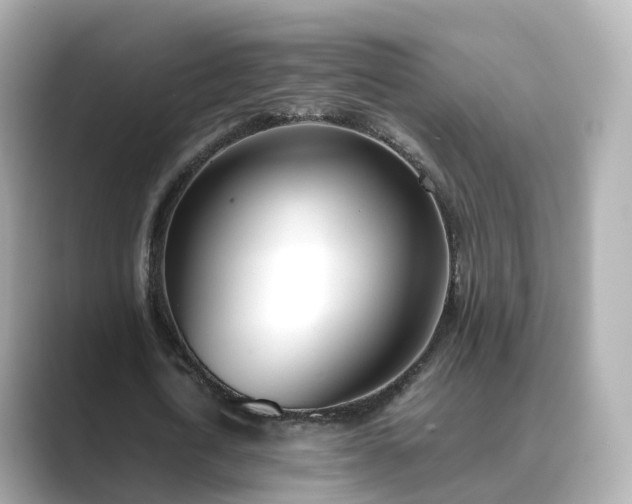 X0000089410722200706221135