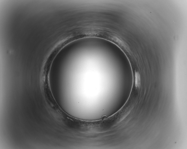 X0000089410723200706221135