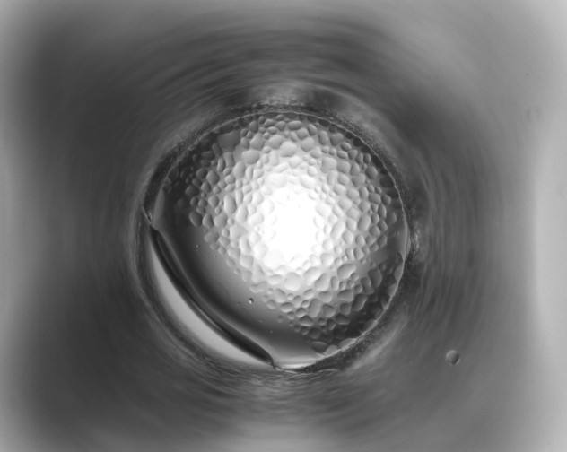 X0000089410725200706221135