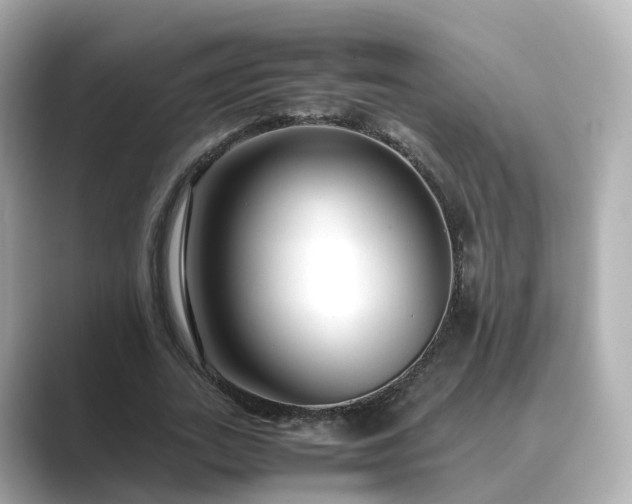 X0000089410727200706221135