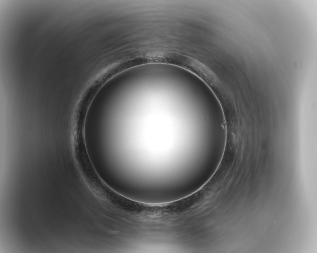 X0000089410728200706221135