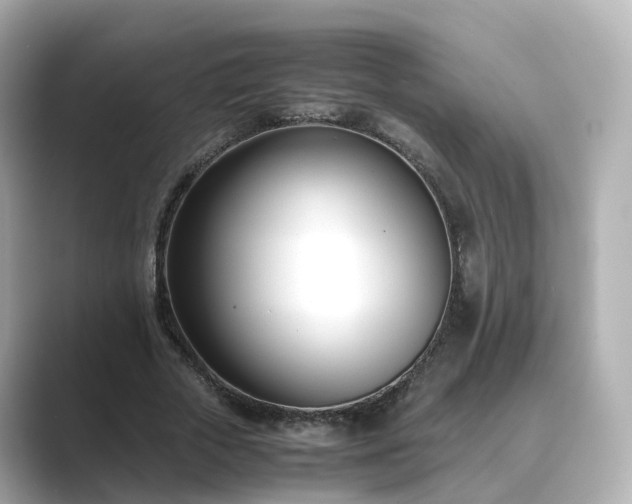 X0000089410729200706221135