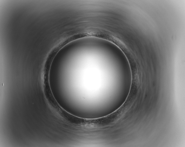X0000089410730200706221135