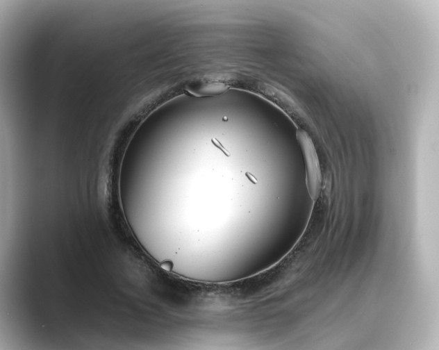 X0000089410732200706221135