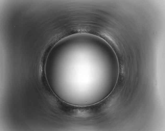 X0000089410733200706221135