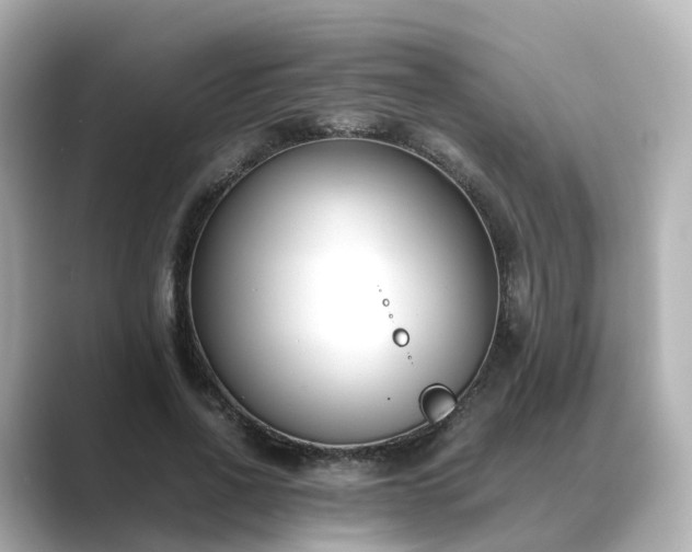 X0000089410734200706221135
