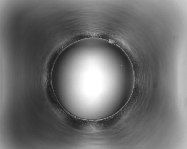 X0000089410736200706221135