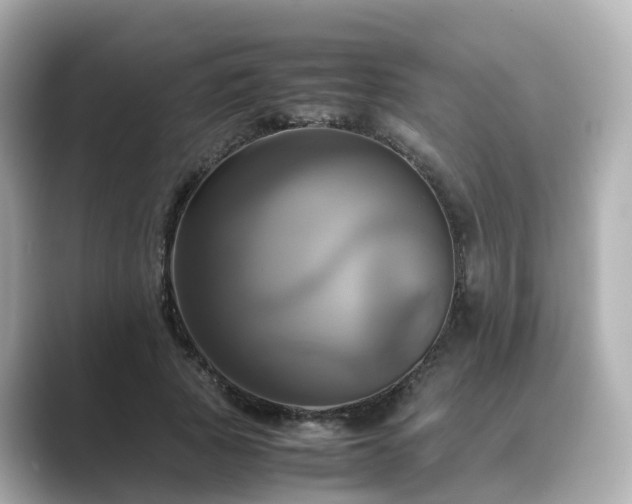 X0000089410737200706221135