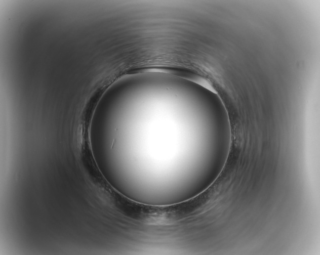 X0000089410740200706221135