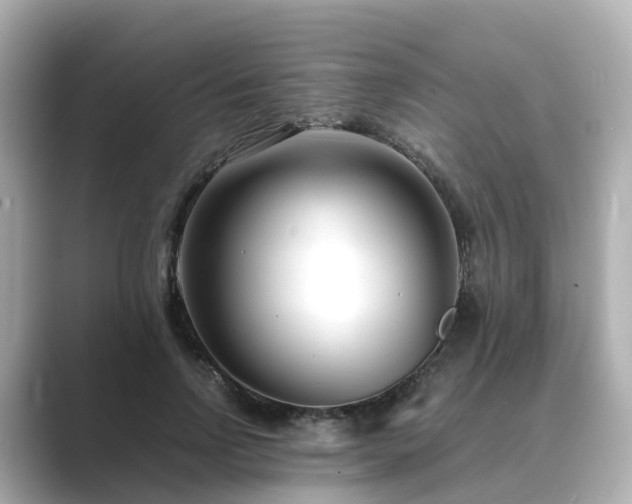 X0000089410742200706221135