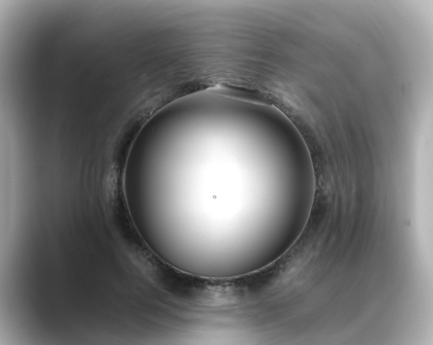 X0000089410744200706221135