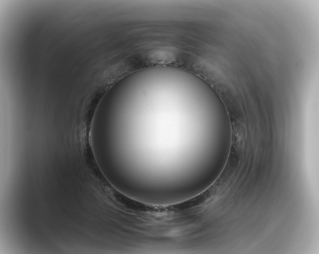 X0000089410745200706221135