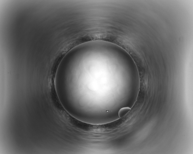 X0000089410746200706221135