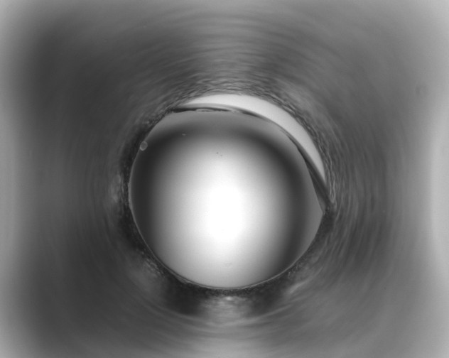 X0000089410748200706221135