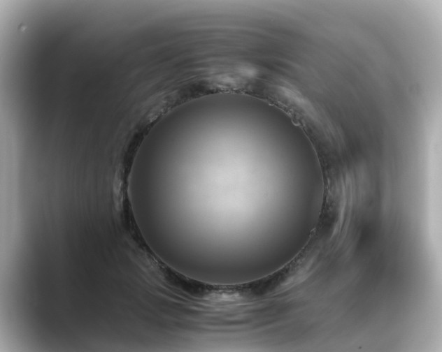 X0000089410749200706221135