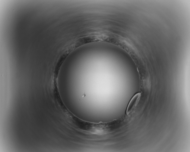 X0000089410757200706221135
