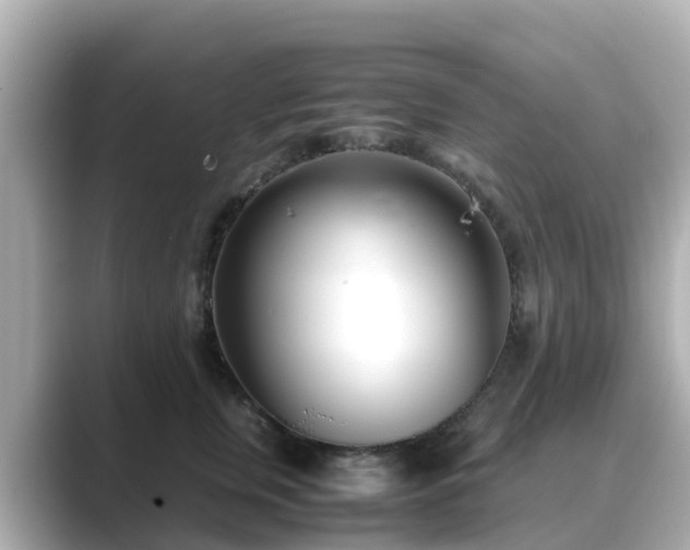 X0000089410759200706221135