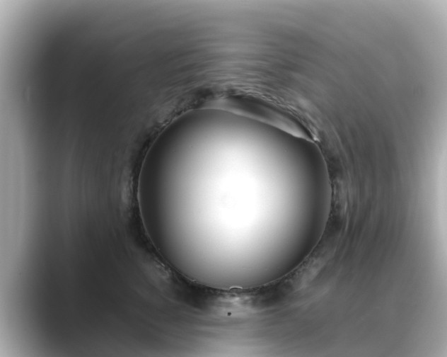 X0000089410760200706221135