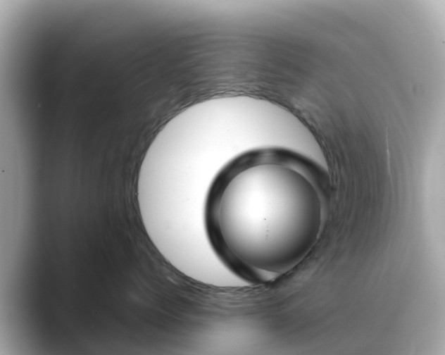 X0000089410768200706221135