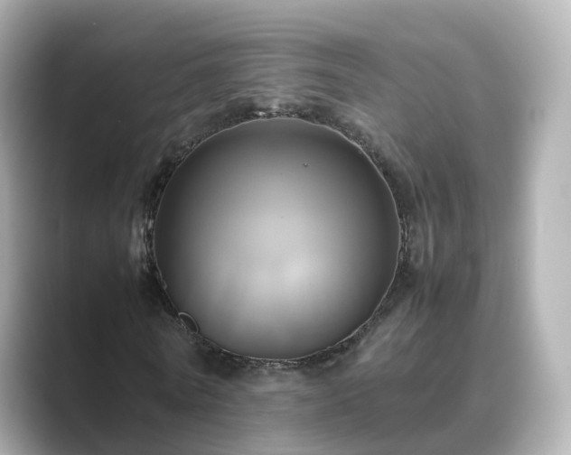 X0000089410770200706221135