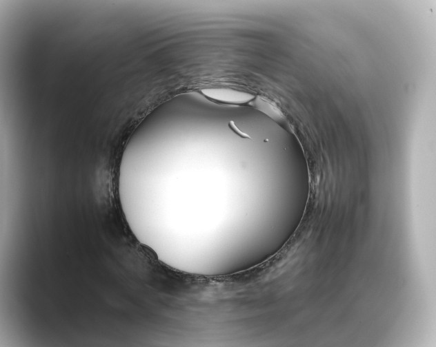 X0000089410772200706221135