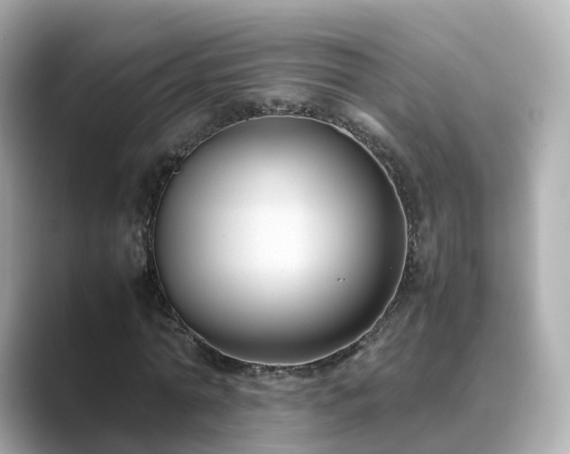 X0000089410774200706221134