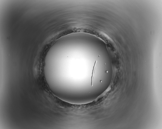 X0000089410775200706221134