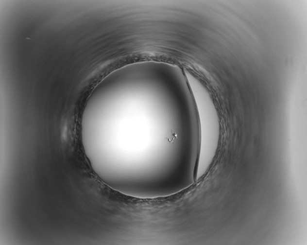 X0000089410776200706221134
