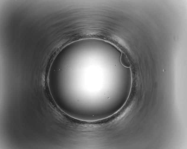 X0000089410777200706221134