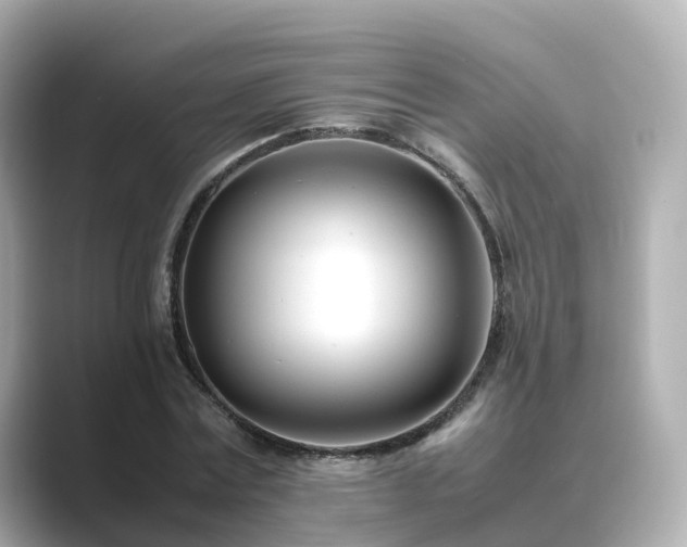 X0000089410779200706221134