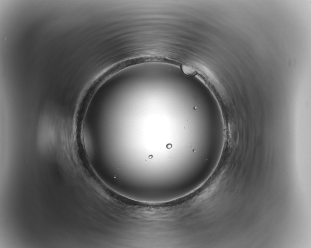 X0000089410780200706221134