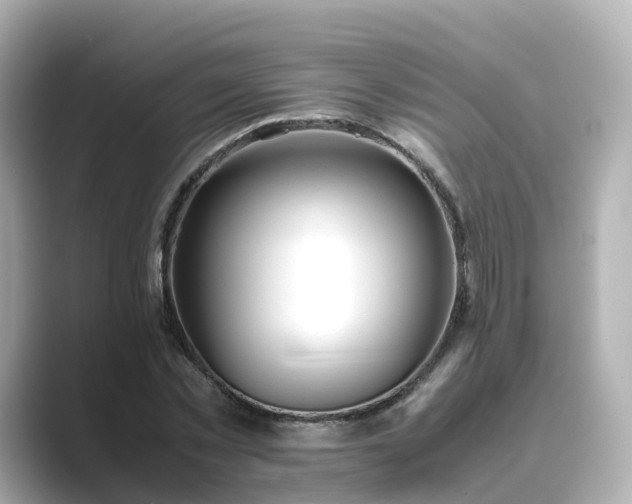 X0000089410781200706221134