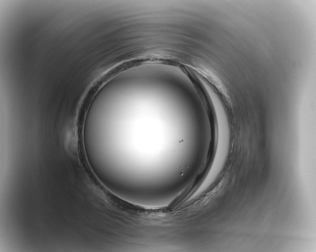 X0000089410784200706221134