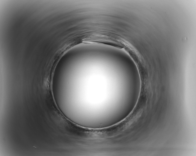 X0000089410785200706221134
