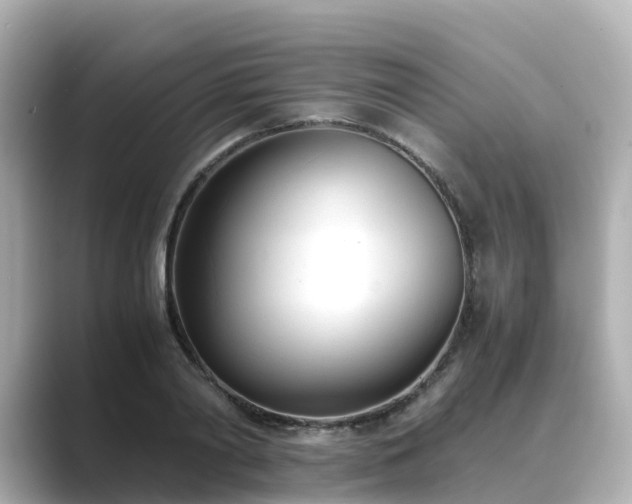 X0000089410790200706221134