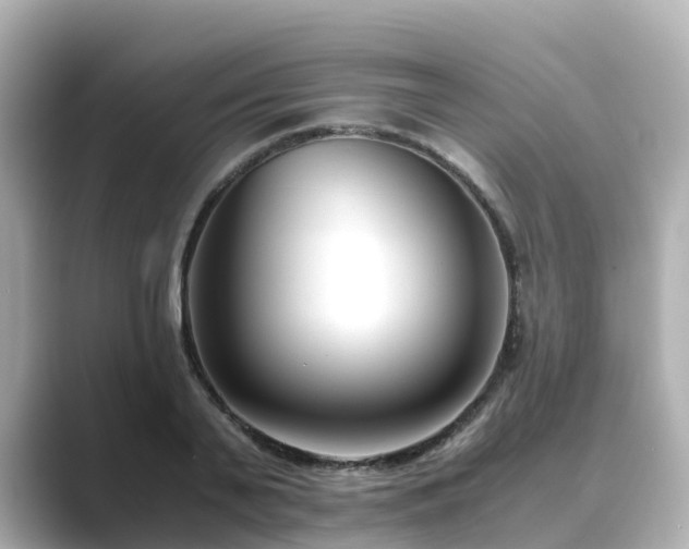 X0000089410791200706221134