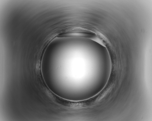 X0000089410793200706221134