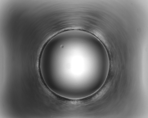 X0000089410797200706221134